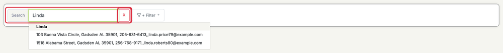 Customer Filters: customers search
